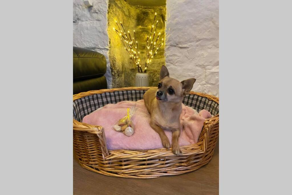 Вилла The Nest - St Ives Экстерьер фото