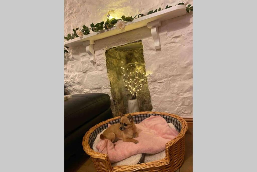 Вилла The Nest - St Ives Экстерьер фото